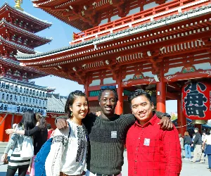 Tokyo Afternoon Tour (Hato Bus): Tokyo Tower & Senso-ji Temple